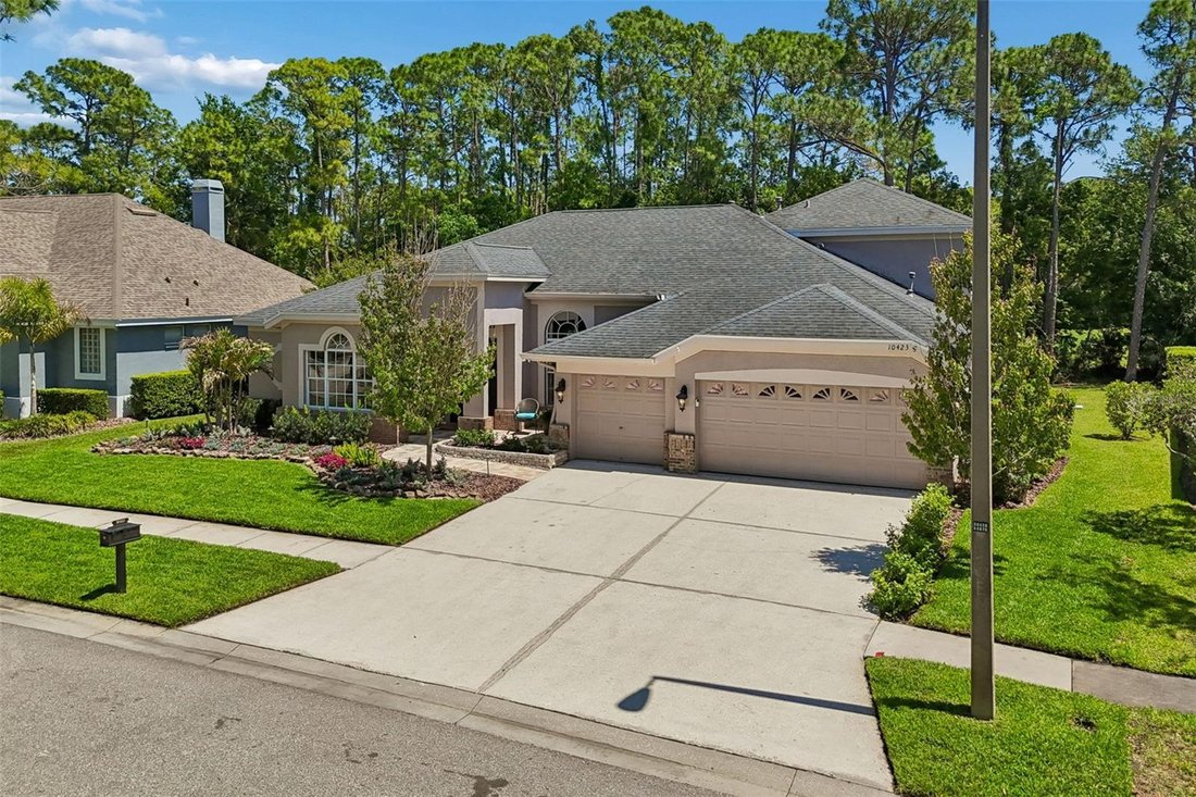 House in Tampa, Florida, United States 2 - 17707675