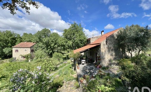Azienda agricola a Alcains, Distretto di Castelo Branco, Portogallo 1