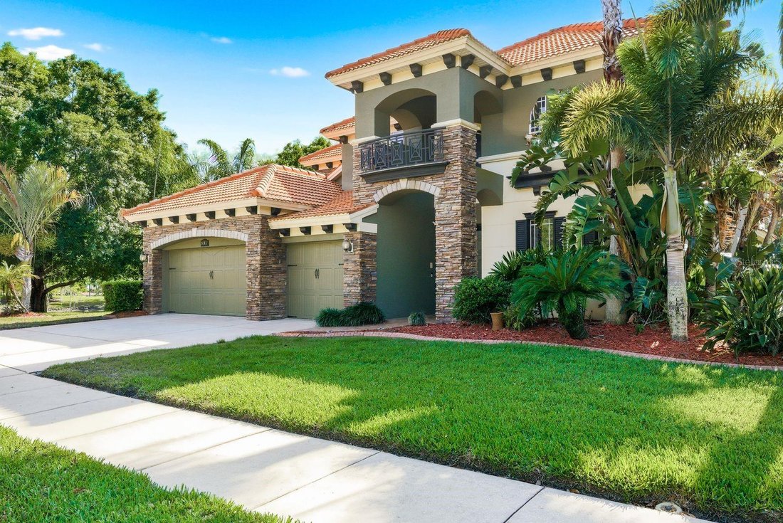 House in New Port Richey, Florida, United States 3 - 17708941
