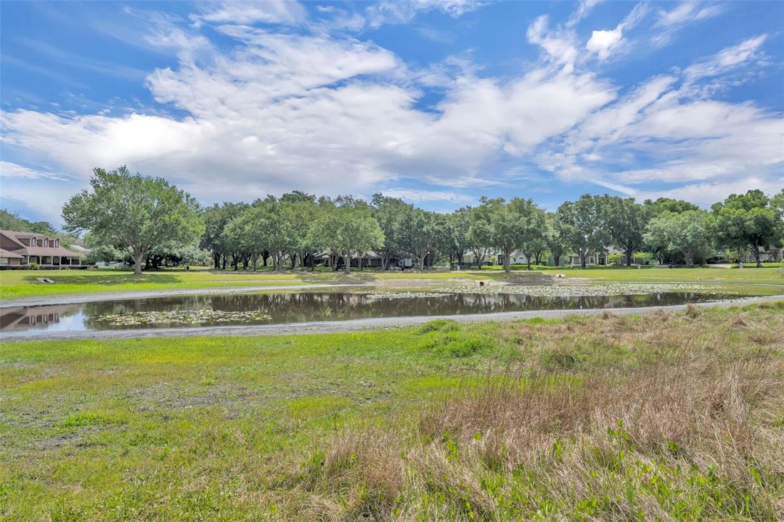 House in Winter Garden, Florida, United States 4 - 17705319