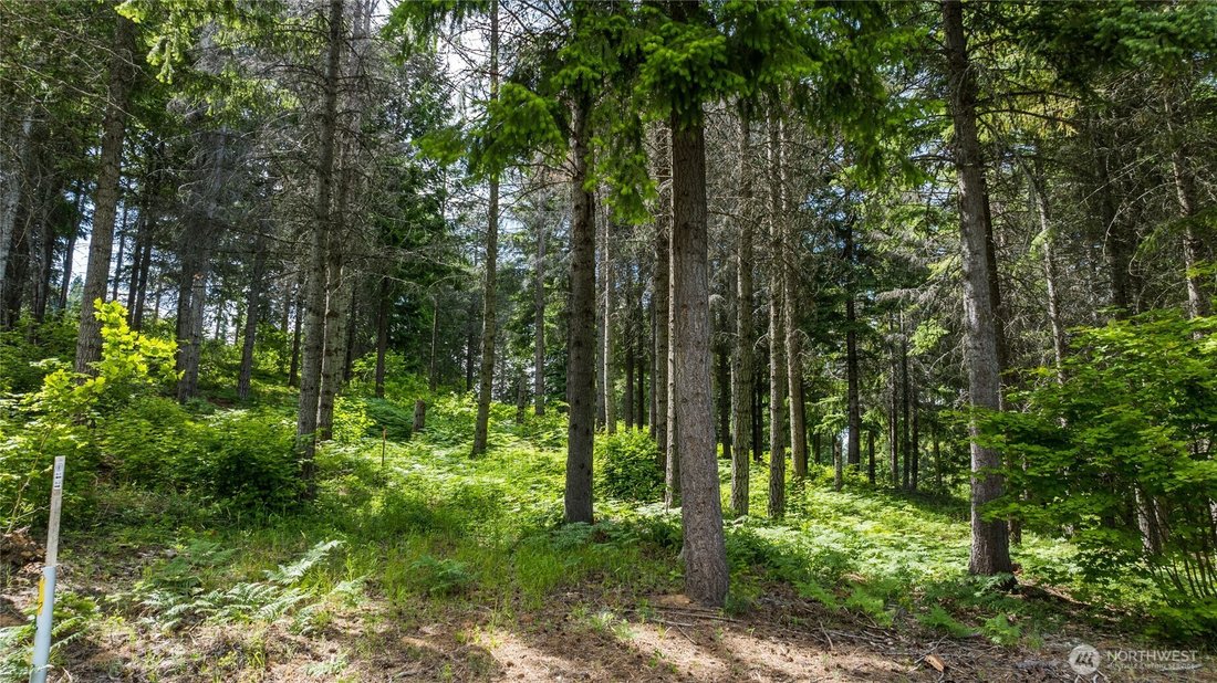 Land in Cle Elum, Washington, United States 4 - 17714695