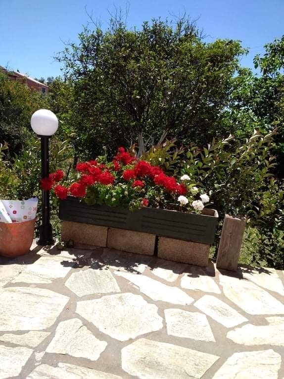 Apartment in Meliteieis, Peloponnese, Western Greece and the Ionian, Greece 5 - 17704252