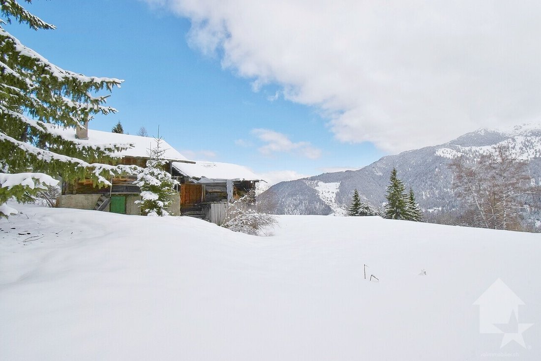 Chalet in Riddes, Wallis, Schweiz 5 - 17716167