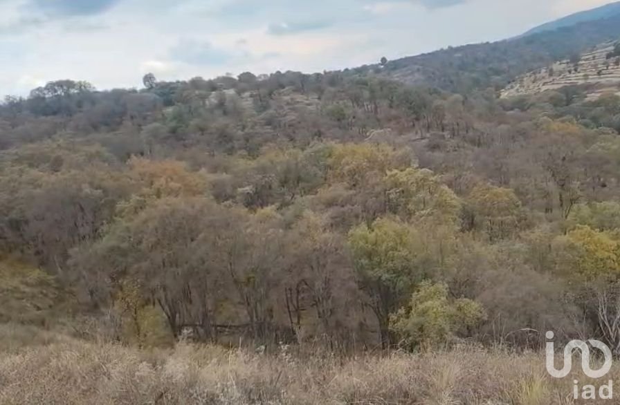 Land in Nanacamilpa de Mariano Arista, Tlaxcala, Mexico 4 - 17712795