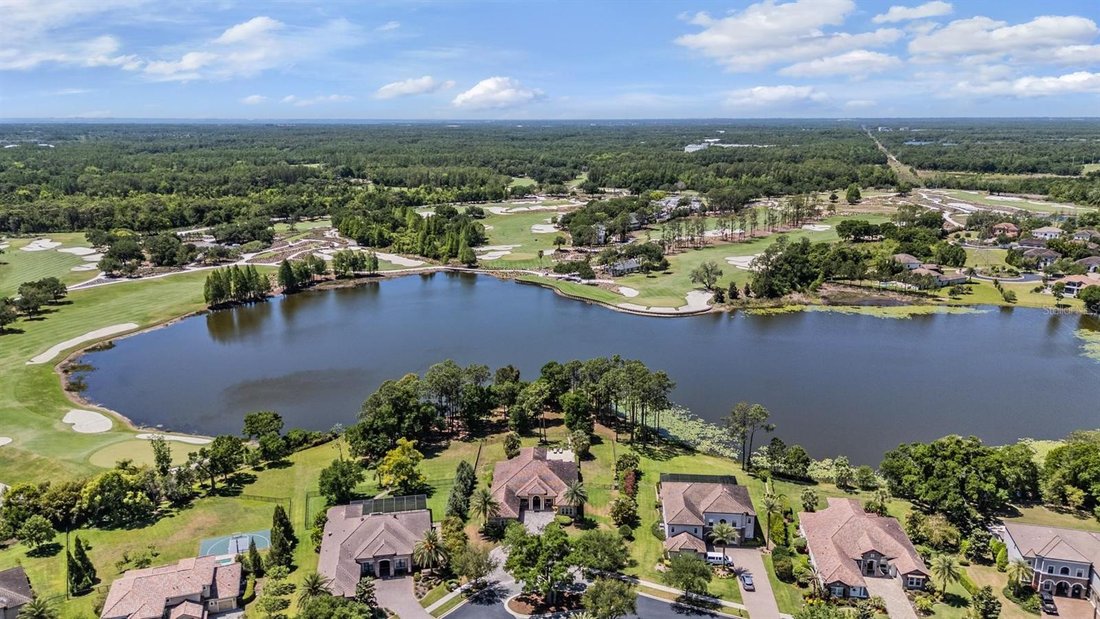 House in Tampa, Florida, United States 4 - 17703239