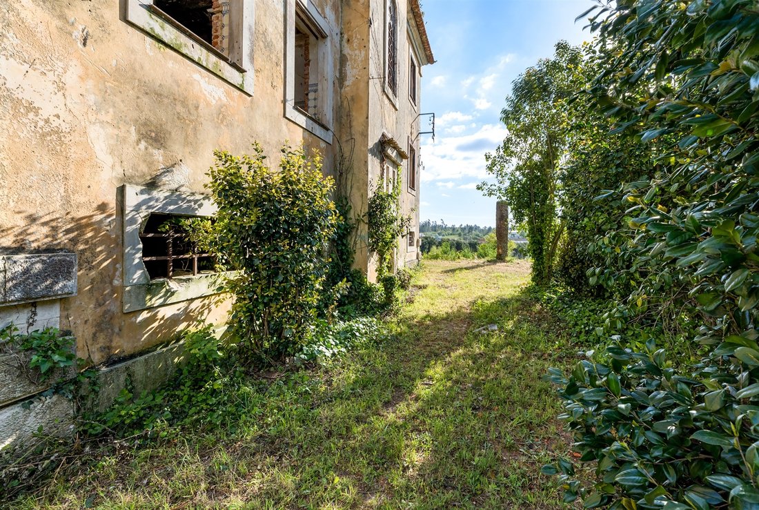 Land in Mealhada Municipality, Aveiro District, Portugal 5 - 17709553