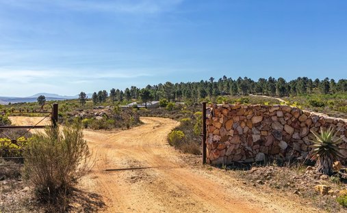 Farm Ranch in Bot River, Western Cape, South Africa 1