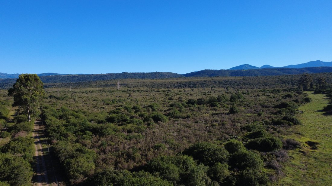 Land in Sedgefield, Western Cape, South Africa 2 - 17708680