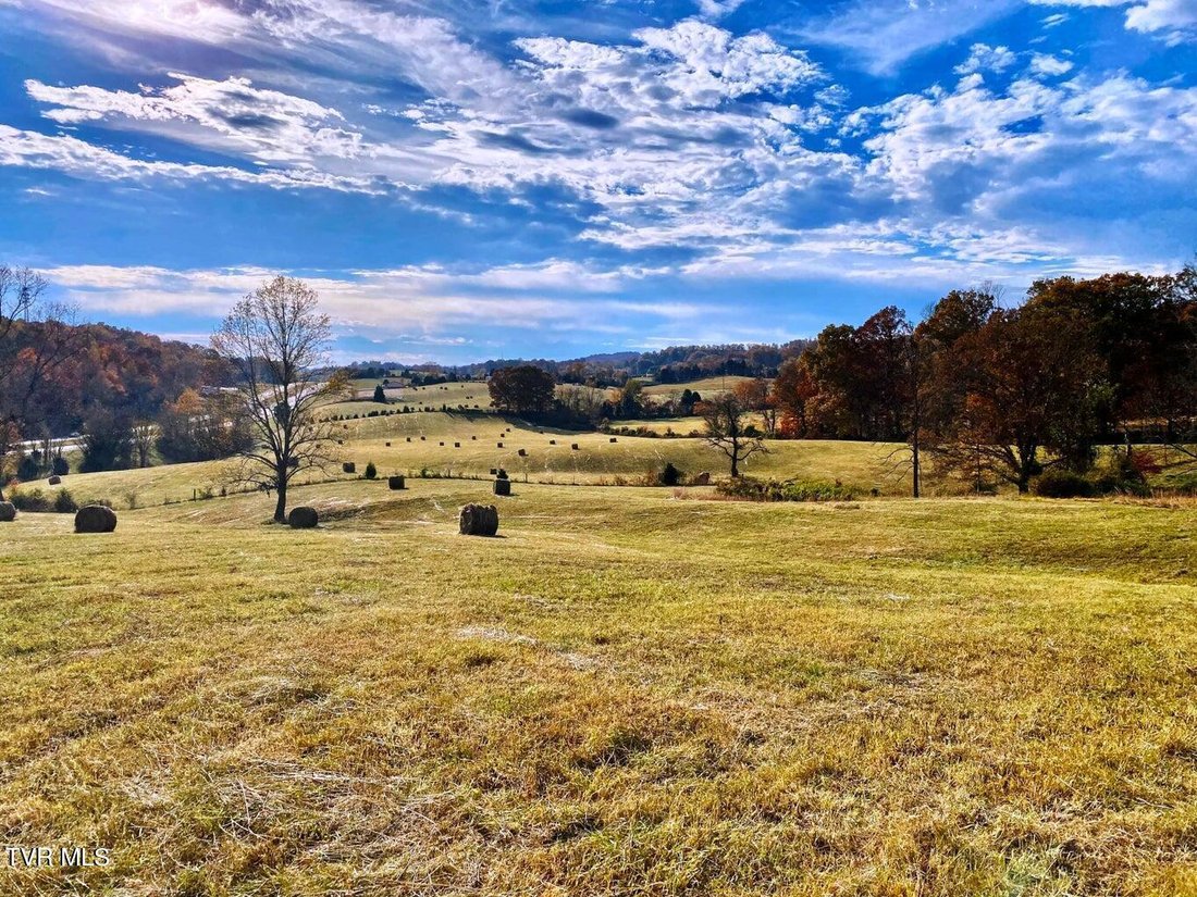 Land in Surgoinsville, Tennessee, United States 1 - 17714550