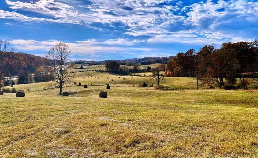 Land in Surgoinsville, Tennessee, United States 1
