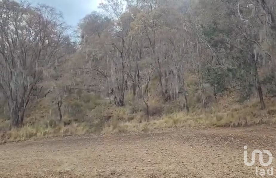 Land in Nanacamilpa de Mariano Arista, Tlaxcala, Mexico 3 - 17712795