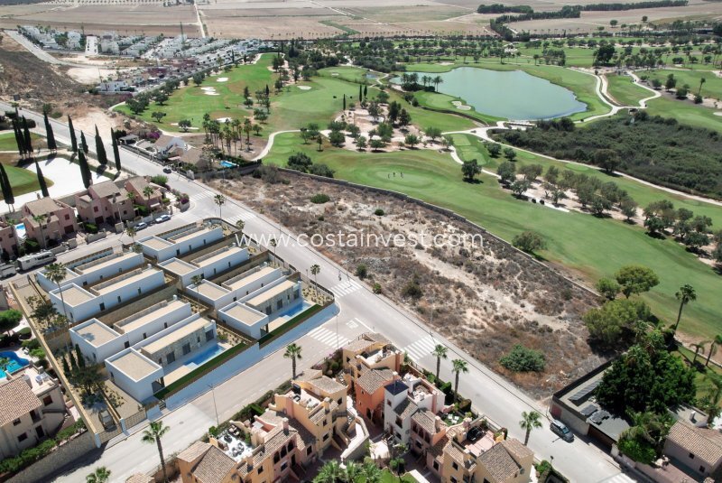 Villa in Algorfa, Valencian Community, Spain 4 - 17691364