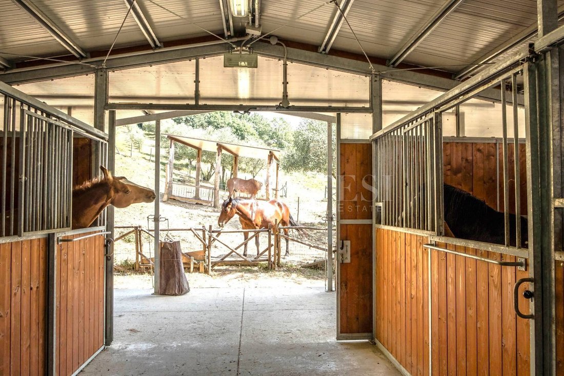 Country House in Umbertide, Umbria, Italy 4 - 17702898