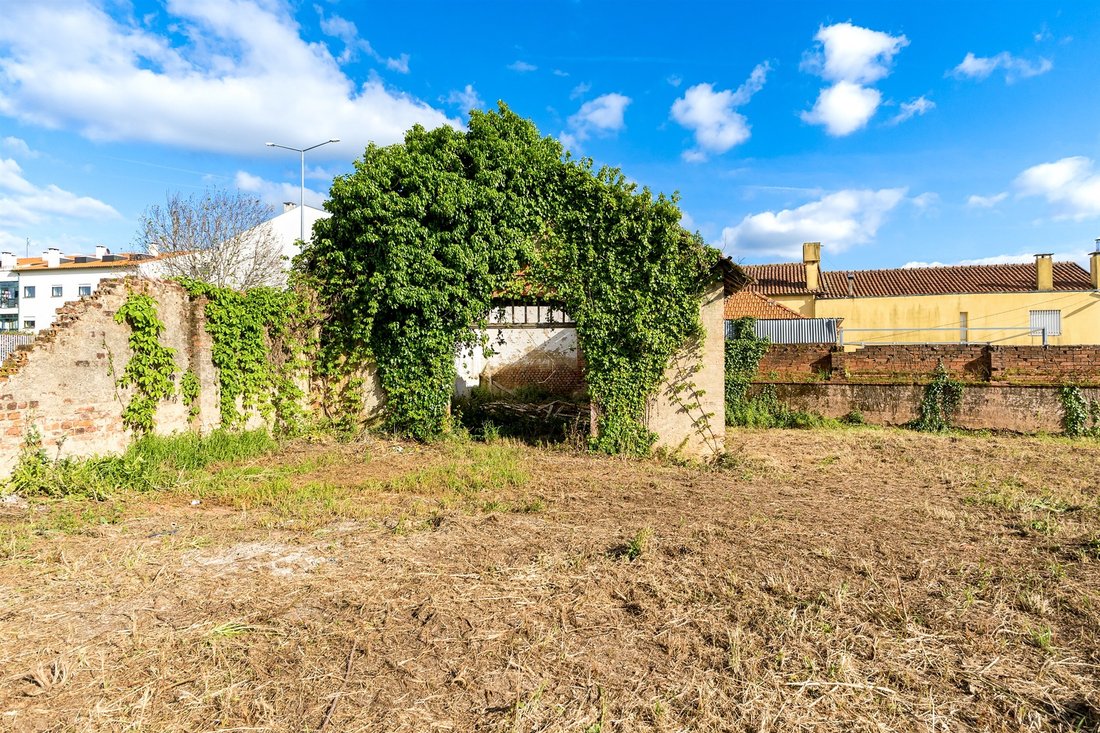 Land in Mealhada Municipality, Aveiro District, Portugal 3 - 17709553