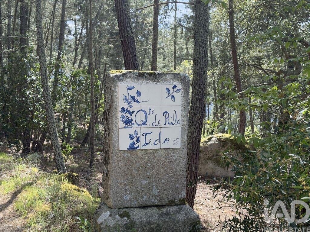 Azienda agricola a Longa, Distretto di Viseu, Portogallo 4 - 16927745