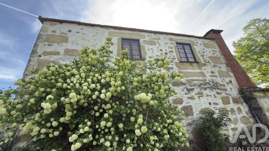 Azienda agricola a Longa, Distretto di Viseu, Portogallo 1 - 16927745