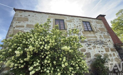 Land in Longa, Viseu District, Portugal 1