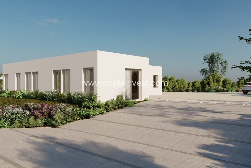 Villa in Algorfa, Valencian Community, Spain 5 - 17695246