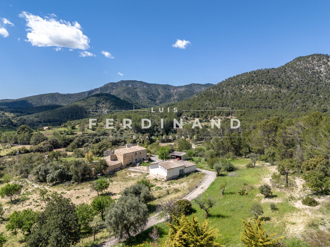 Finca in Santa Maria del Cami, Balearic Islands, Spain 5 - 17652667