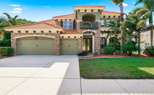 House in New Port Richey, Florida, United States 1