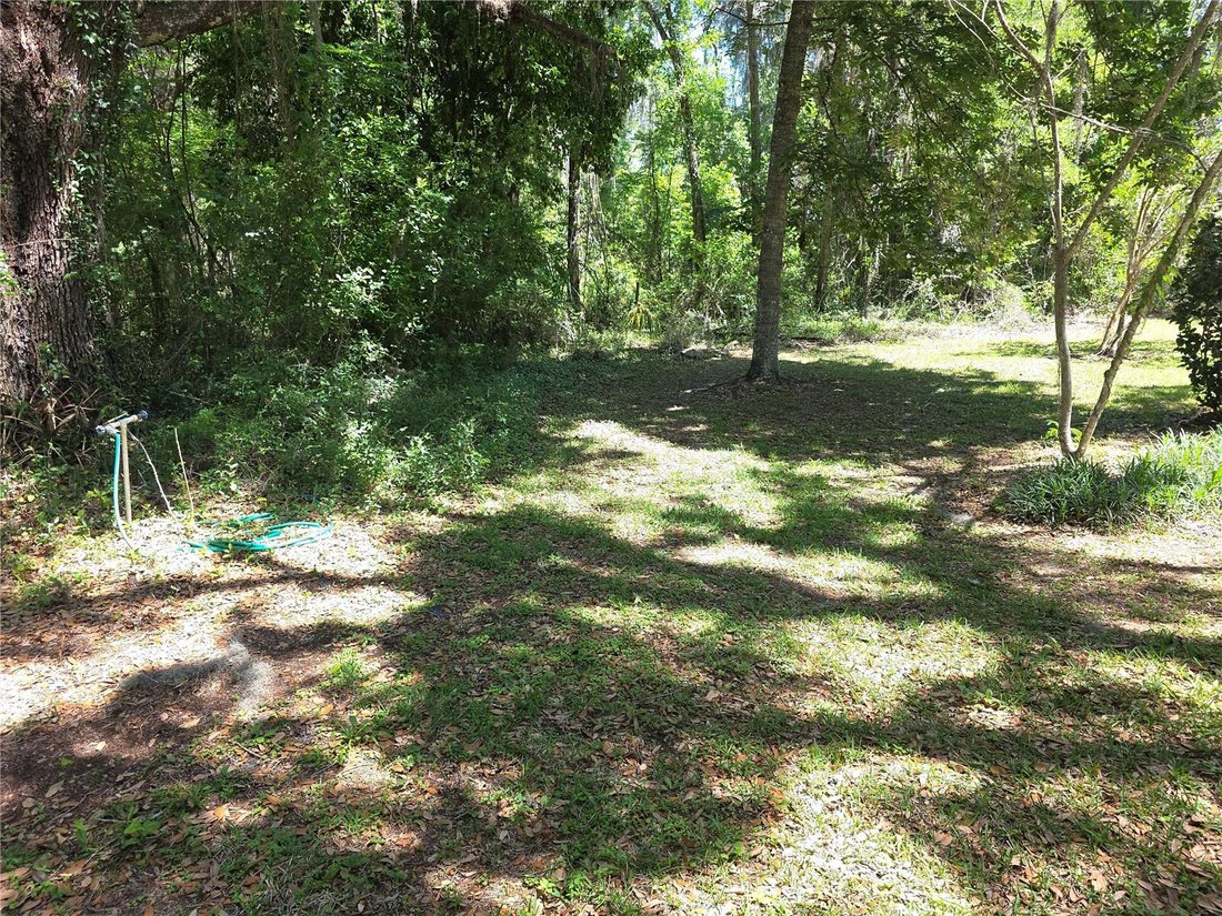 House in South Brooksville, Florida, United States 3 - 17705470