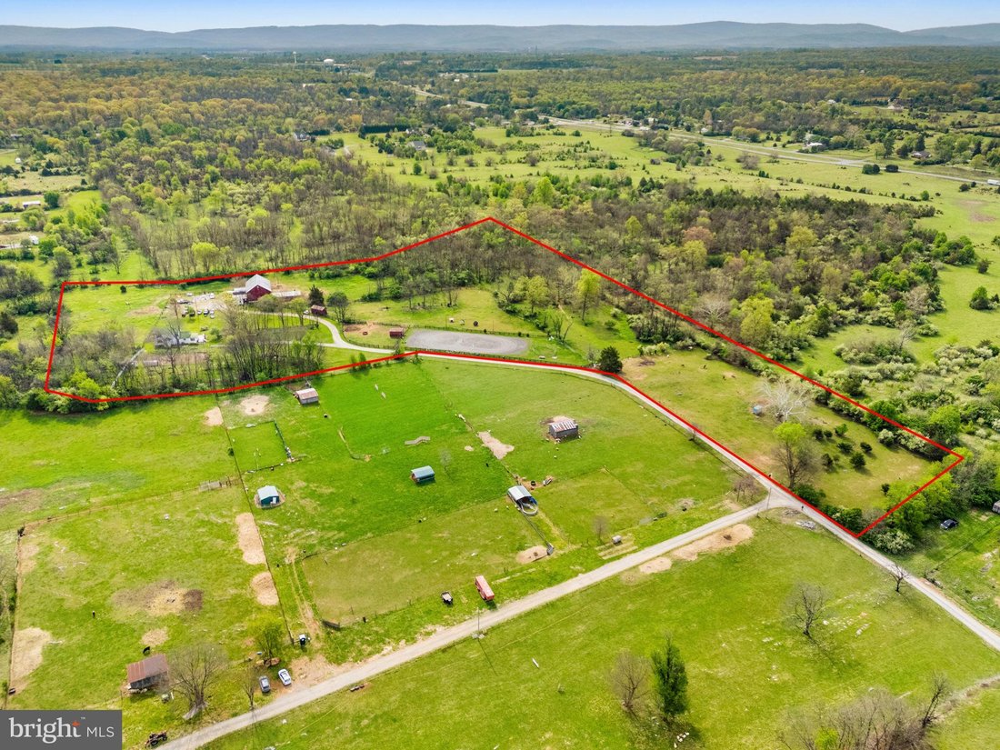 Berryville, Virginia, United States 4 - 17705941