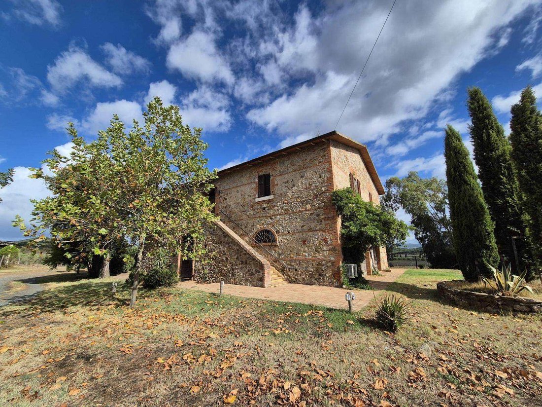 Center, Grosseto, Tuscany 2 - 17707911