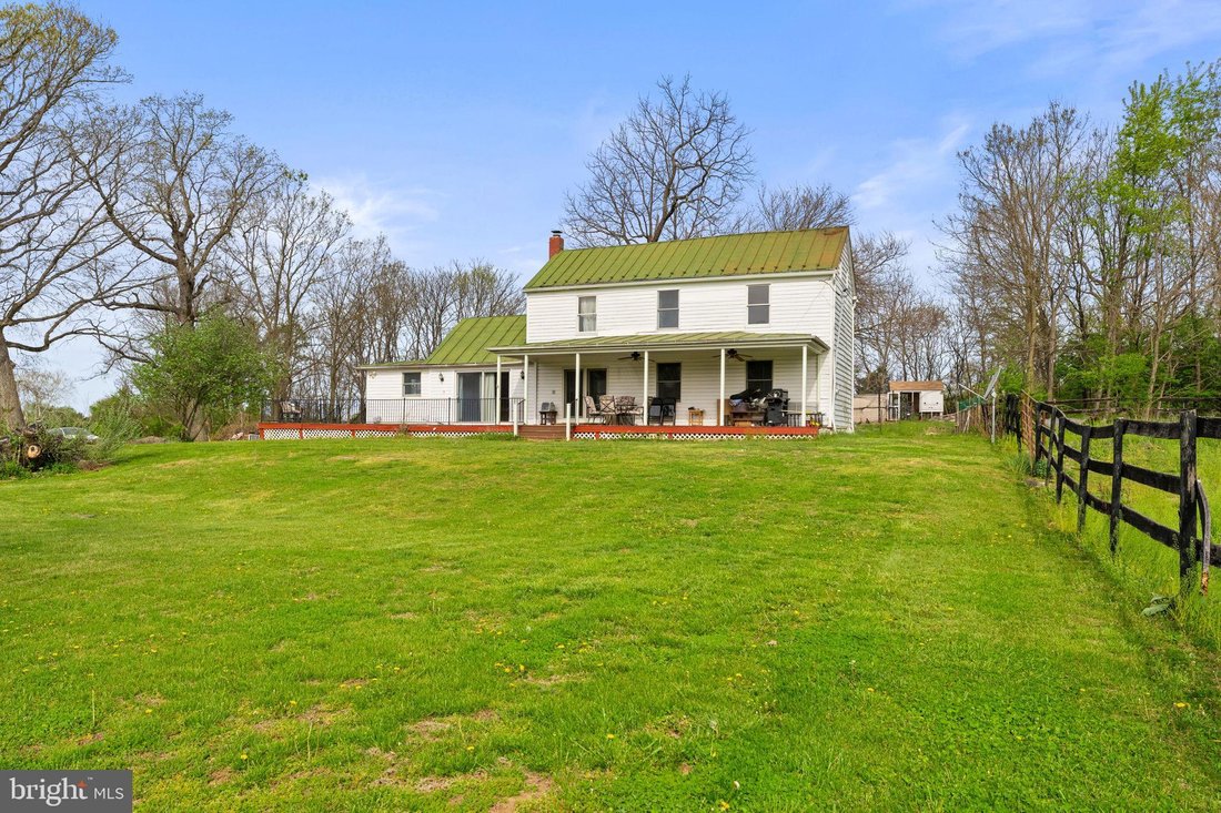 Berryville, Virginia, United States 1 - 17705941