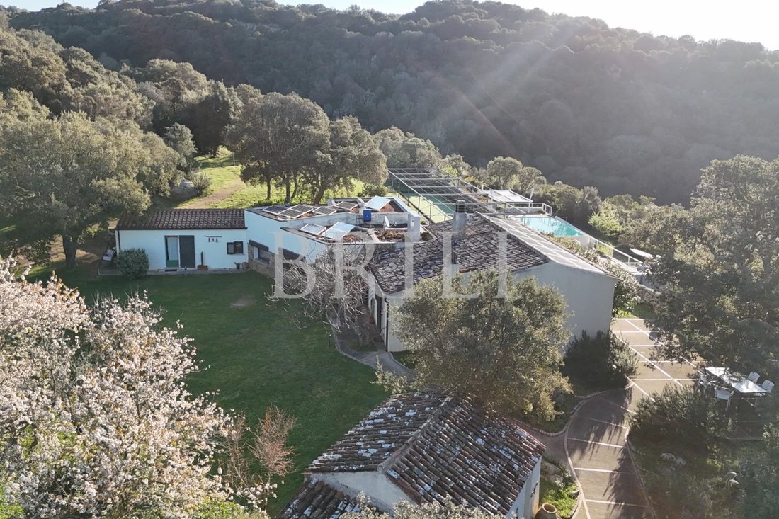 Farm Ranch in Aglientu, Sardinia, Italy 3 - 17703011