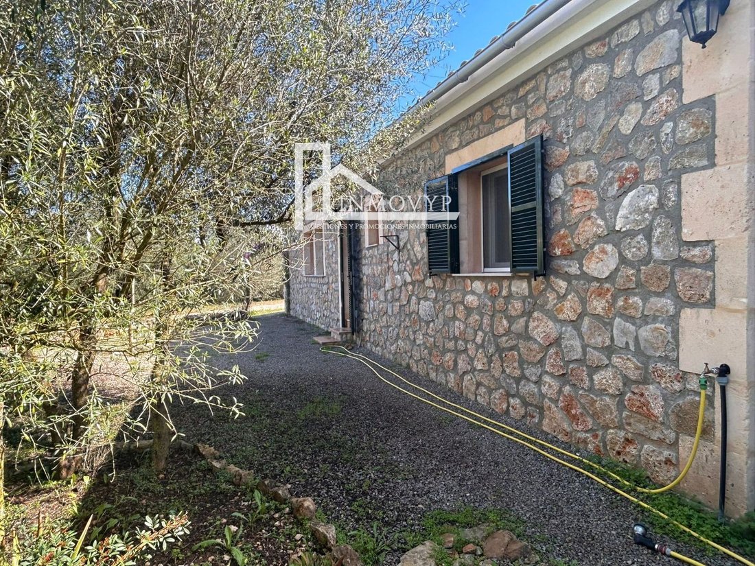 Finca in Manacor, Balearic Islands, Spain 4 - 17704745