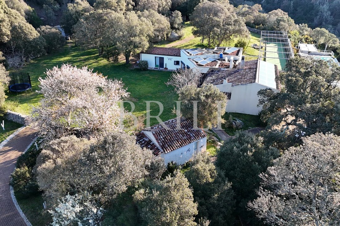 Farm Ranch in Aglientu, Sardinia, Italy 2 - 17703011