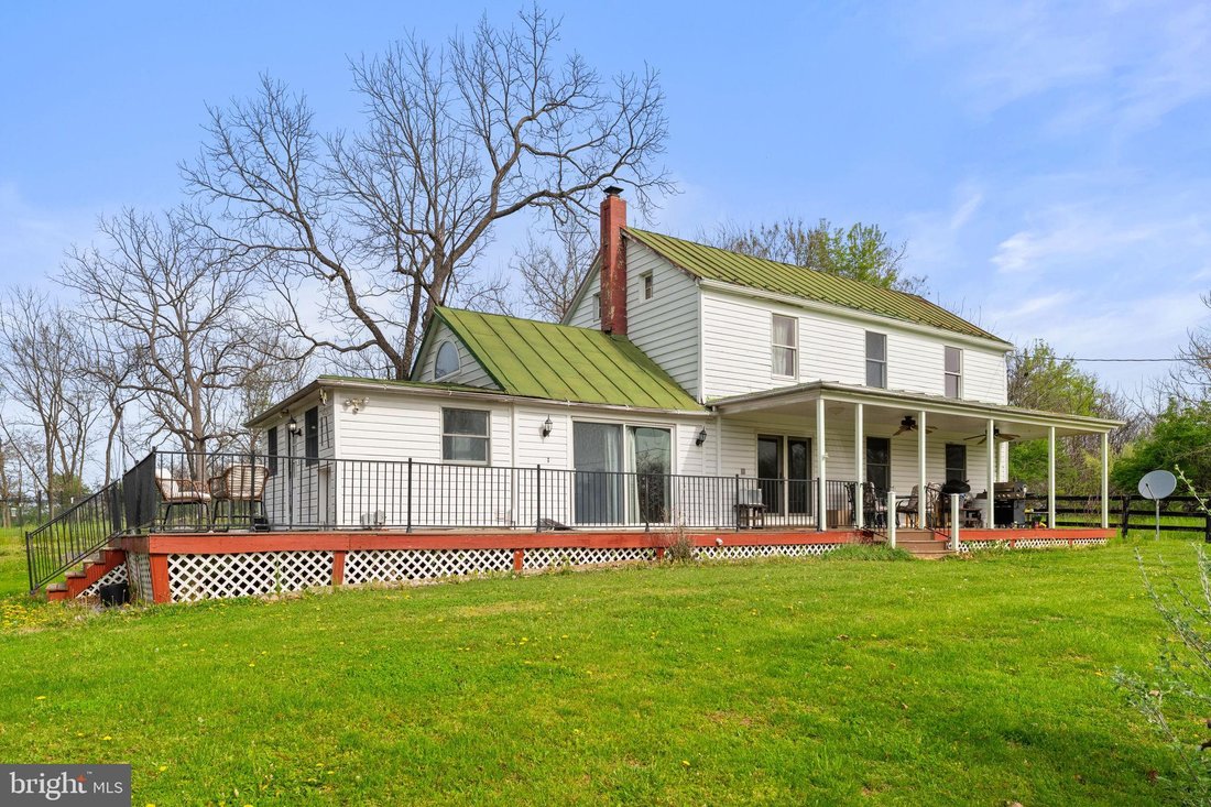 Berryville, Virginia, United States 5 - 17705941