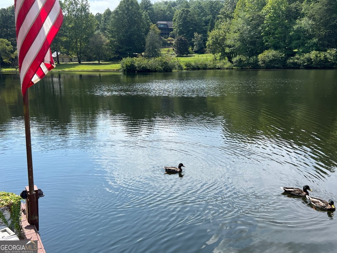 House in Morganton, Georgia, United States 4 - 17704205