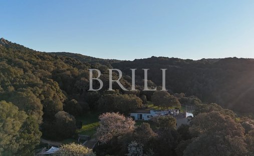 Azienda agricola a Aglientu, Sardegna, Italia 1