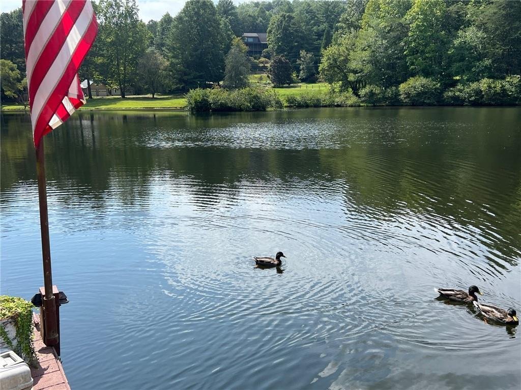 House in Morganton, Georgia, United States 5 - 17703542
