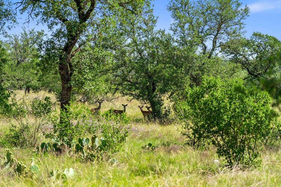 Farm Ranch in Johnson City, Texas, United States 3 - 17705084
