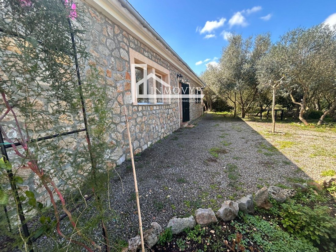 Finca in Manacor, Balearic Islands, Spain 3 - 17704745
