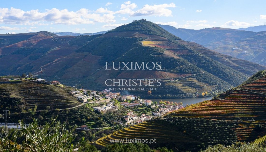 Villa in Provesende, Gouvaes do Douro e Sao Cristovao do Douro, Vila Real District, Portugal 1 - 17704861