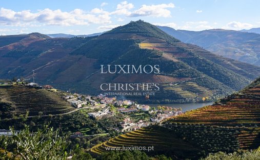 Villa en Provesende, Gouvaes do Douro e Sao Cristovao do Douro, Distrito de Vila Real, Portugal 1