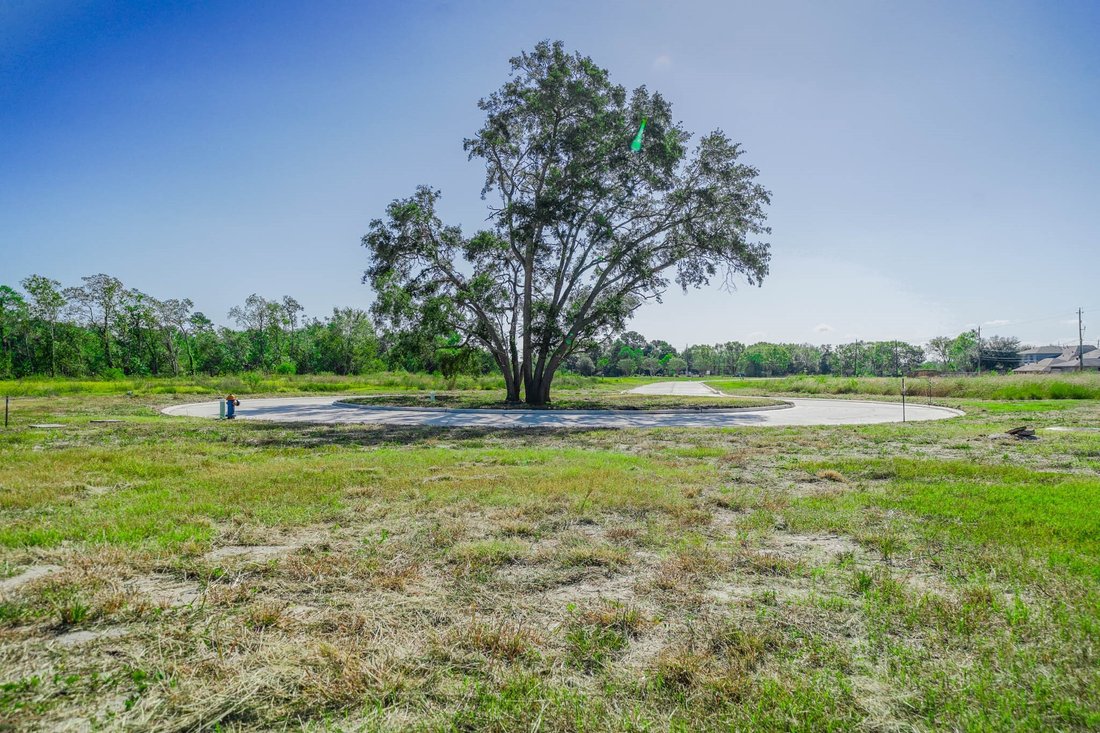 Land in Pearland, Texas, United States 5 - 17713157