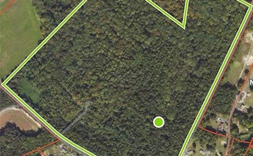 Land in Ruther Glen, Virginia, United States 1