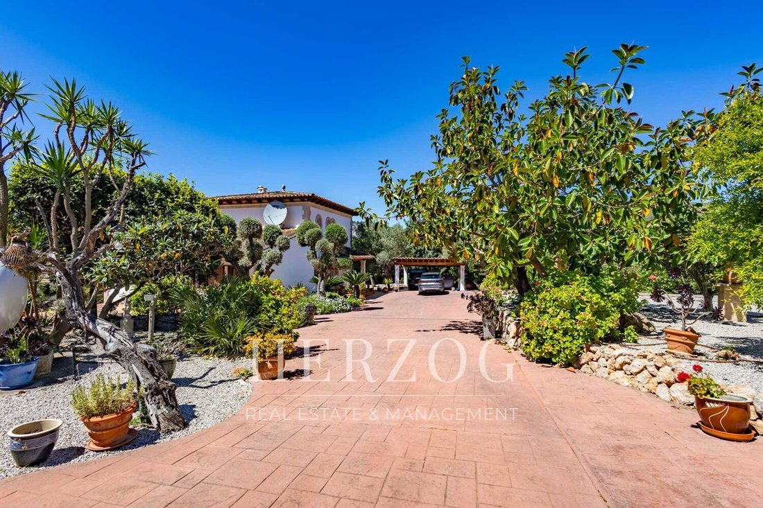 Villa in Andratx, Balearic Islands, Spain 4 - 17708082