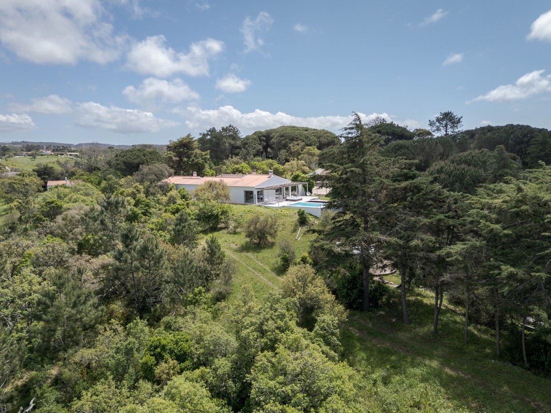 Finca in Santa Barbara de Nexe, Algarve, Portugal 4 - 17711147