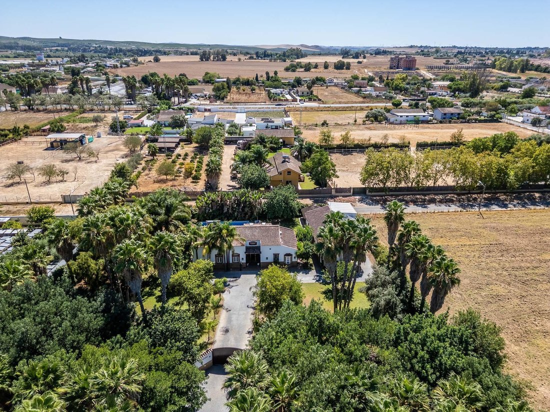 House in Jerez De La Frontera, Andalusia, Spain 4 - 17707021
