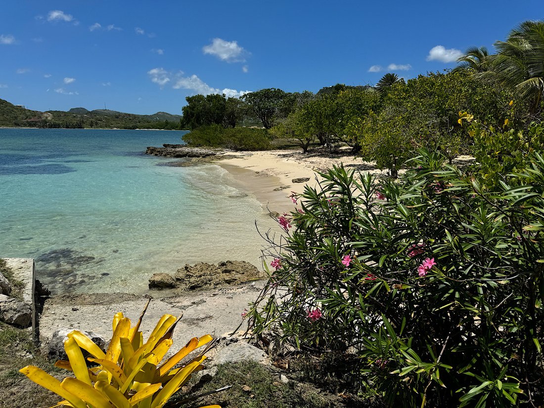 Villa in Piccadilly, Saint Paul, Antigua and Barbuda 5 - 17716732