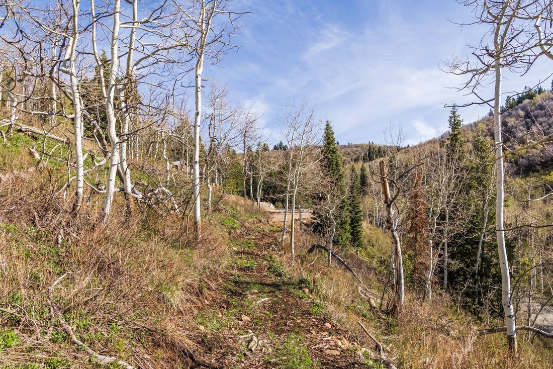 Land in Park City, Utah, United States 3 - 17711415