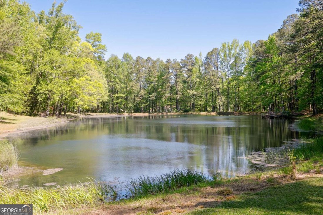 House in Dallas, Georgia, United States 4 - 17712438