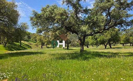 Terreno en Badajoz, Extremadura, España 1