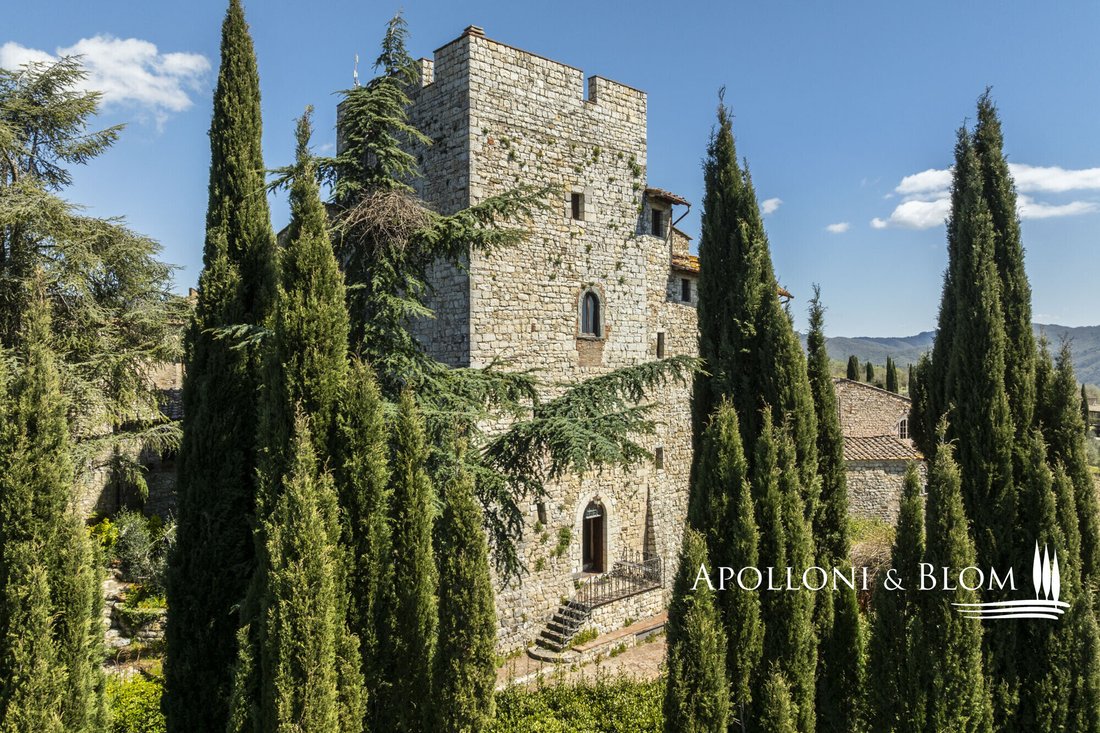 Castle in Gaiole in Chianti, Tuscany, Italy 4 - 17713851