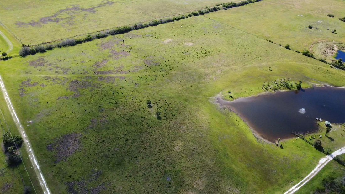 Okeechobee, Florida, United States 2 - 17717023